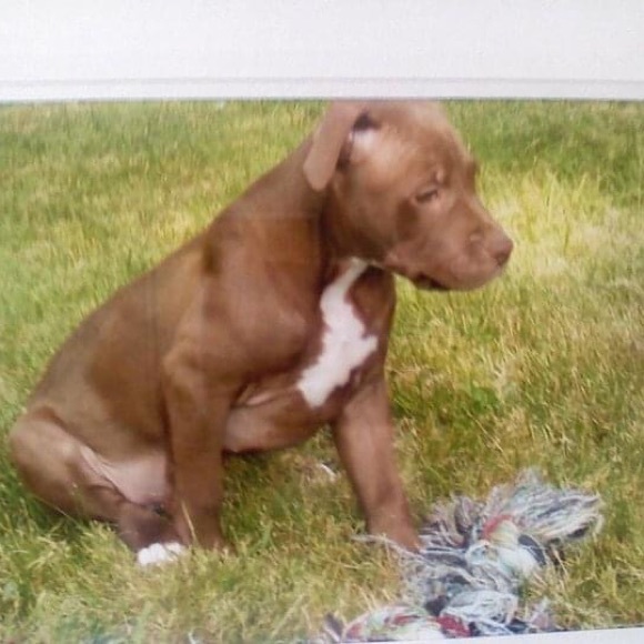 Meet your Posher, Allison - Picture 15 of 16